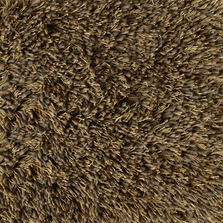 Dune 505